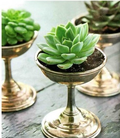 Creative Ideas on Planter & Vase DIY