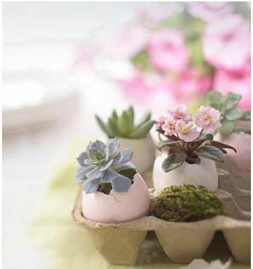 Creative Ideas on Planter & Vase DIY