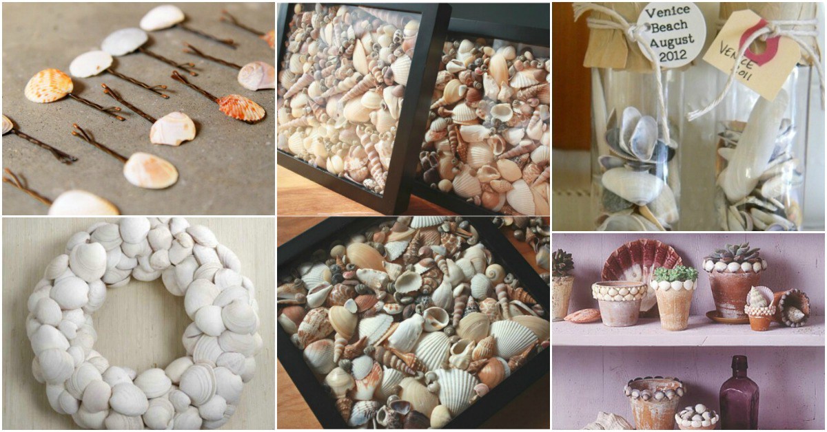 seashell projects