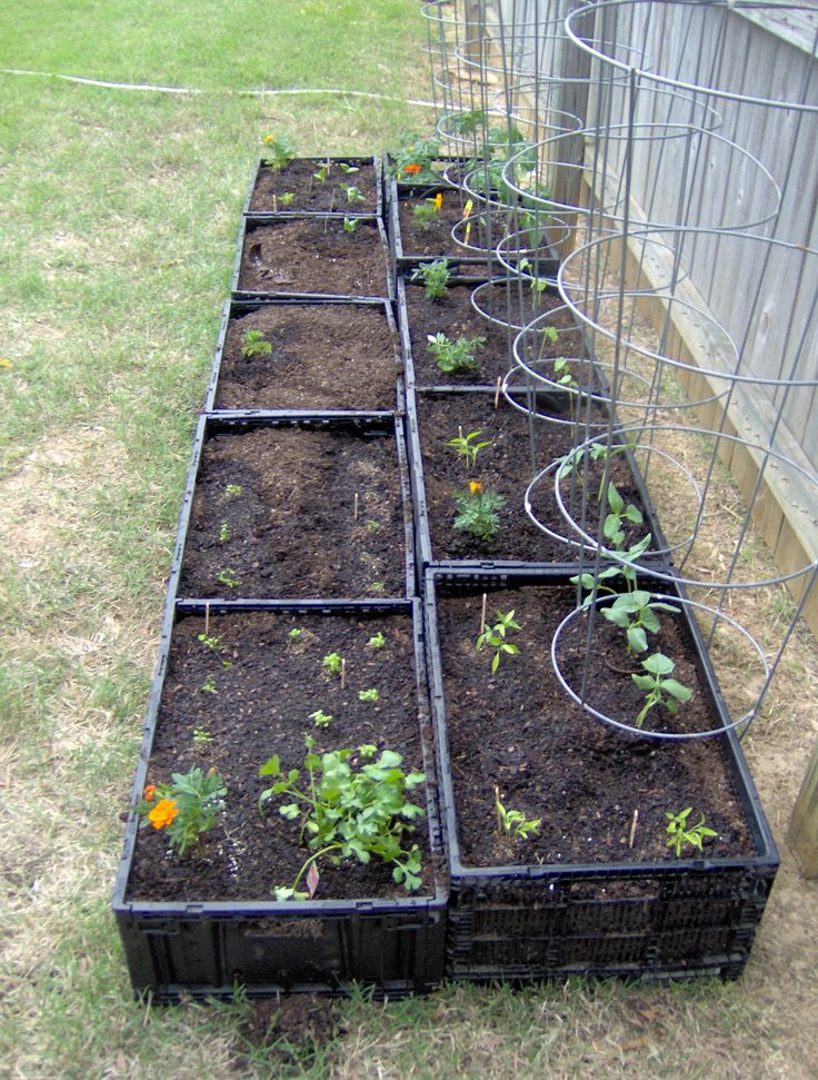 Shaped Raised Bed Gardens 16 