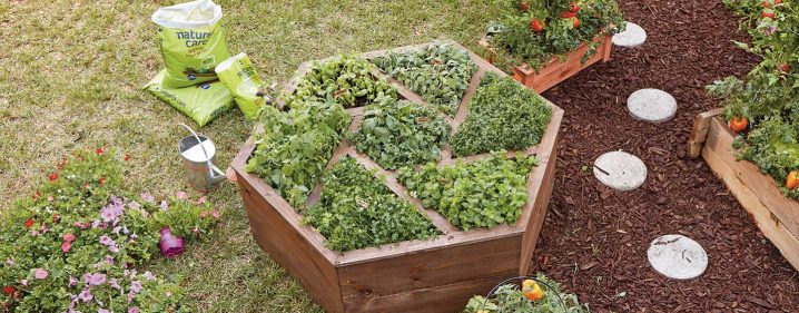 15+ DIY Uniquely Shaped Raised Bed Gardens