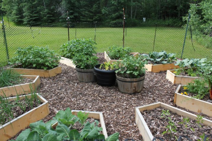 shaped raised bed gardens 9