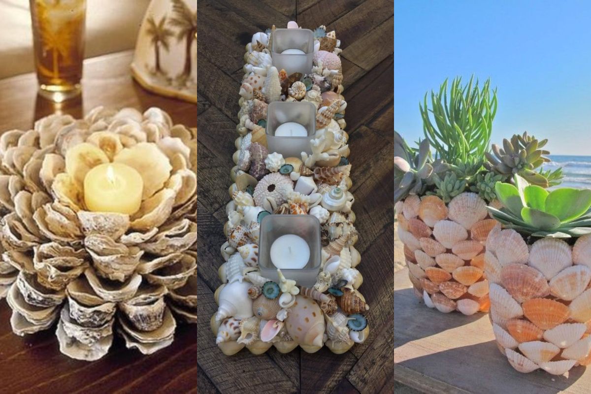 shells centerpiece 10