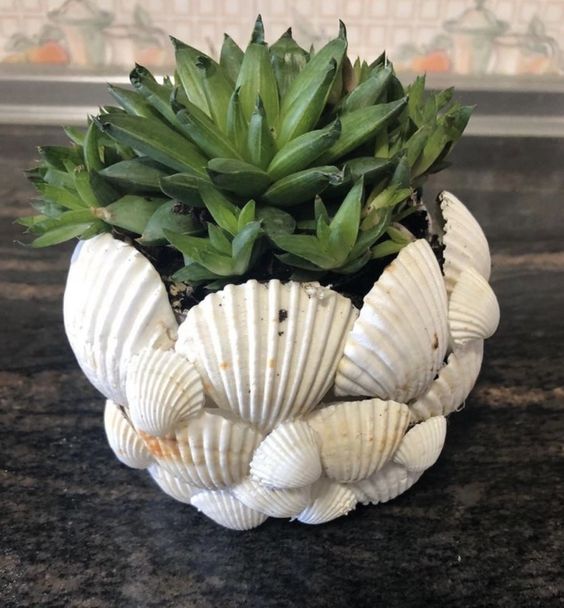 shells centerpiece 3