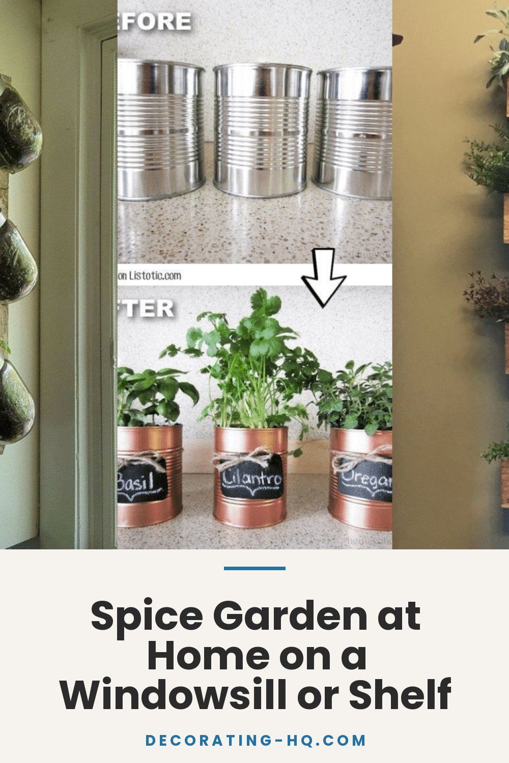 Spice Garden at Home on a Windowsill or Shelf