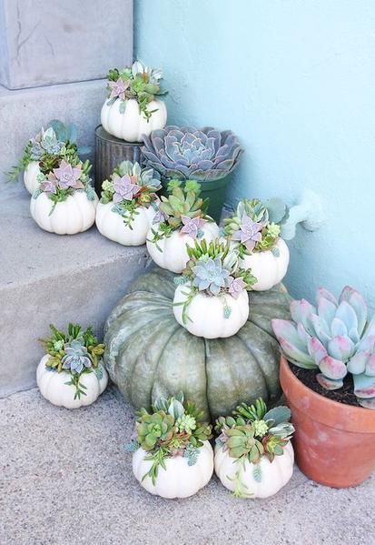 stylish decorating ideas with white pumpkins fall