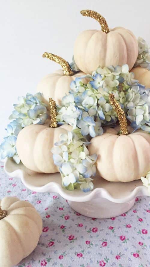 stylish decorating ideas with white pumpkins simple