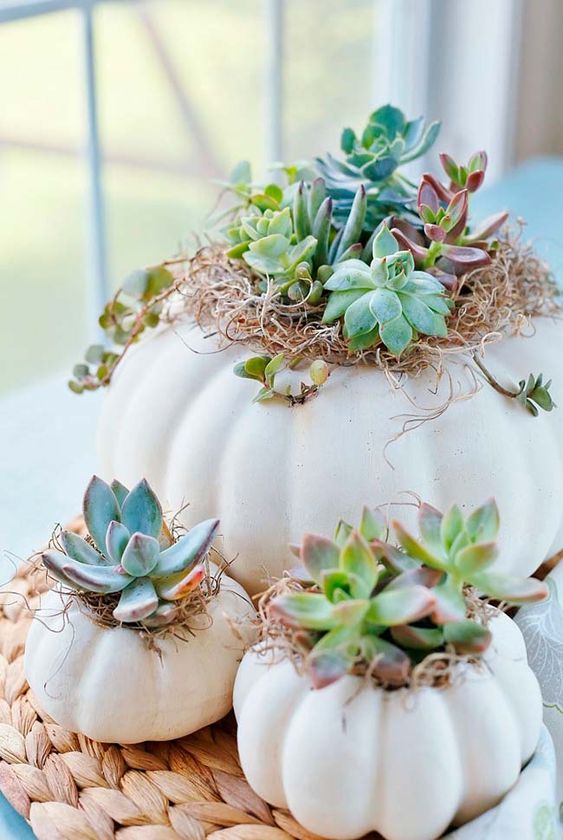 stylish decorating ideas with white pumpkins vase