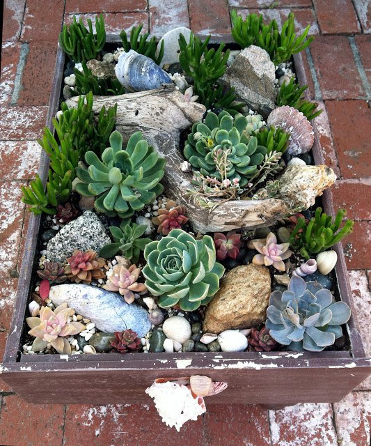 Awesome Succulent Planters