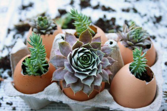 Awesome Succulent Planters