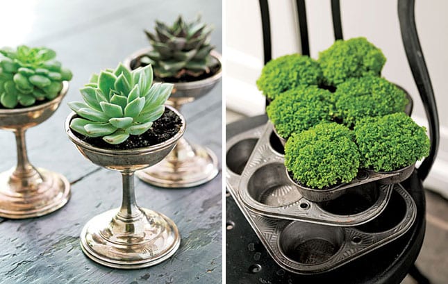 succulent-planters-13