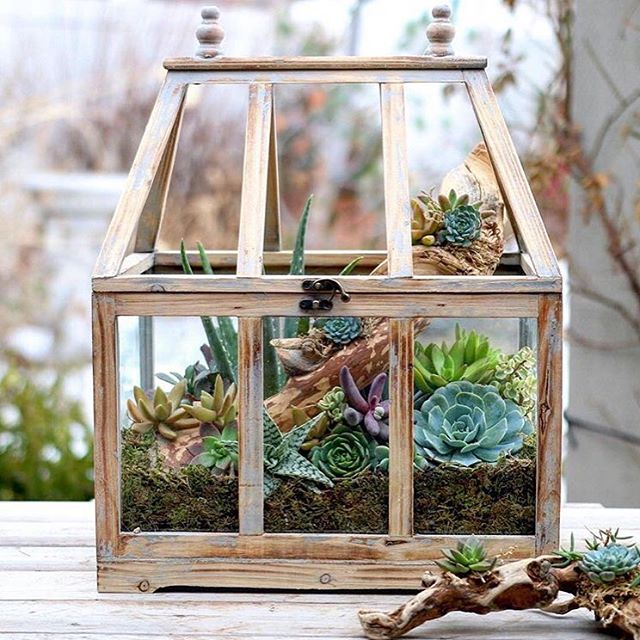 Awesome Succulent Planters