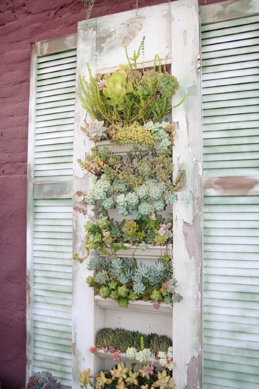 Awesome Succulent Planters