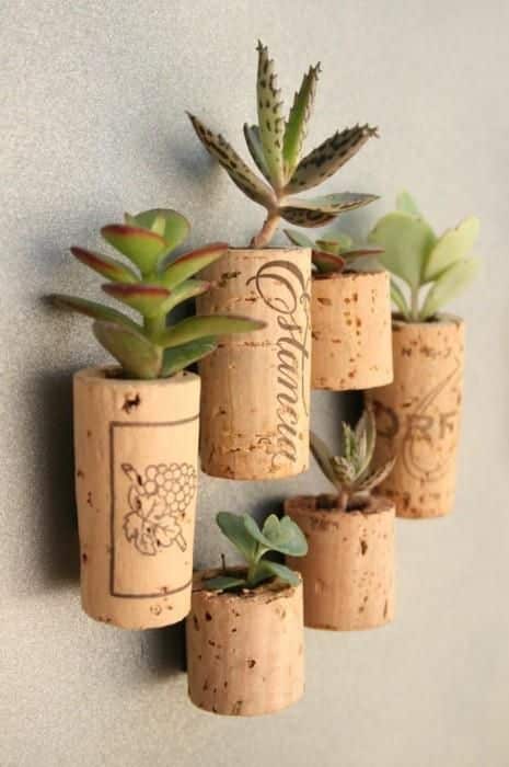 Awesome Succulent Planters