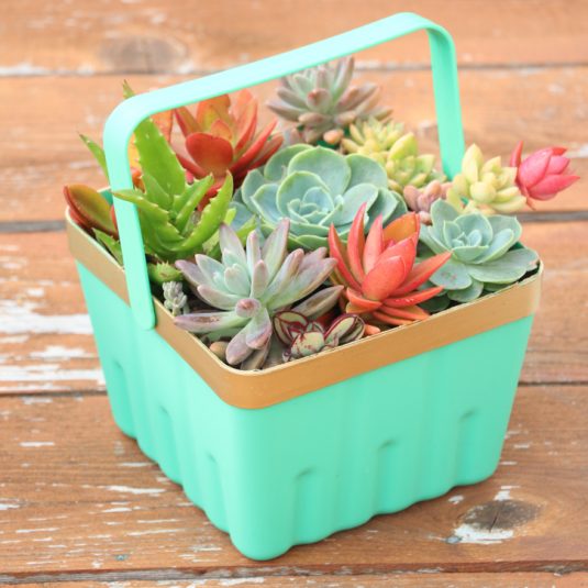 Awesome Succulent Planters