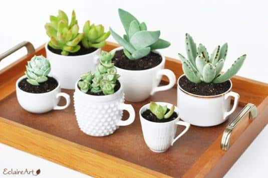 succulent-planters-4