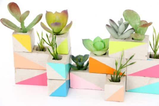 Awesome Succulent Planters