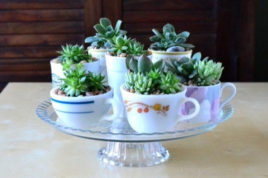 succulent-planters-8