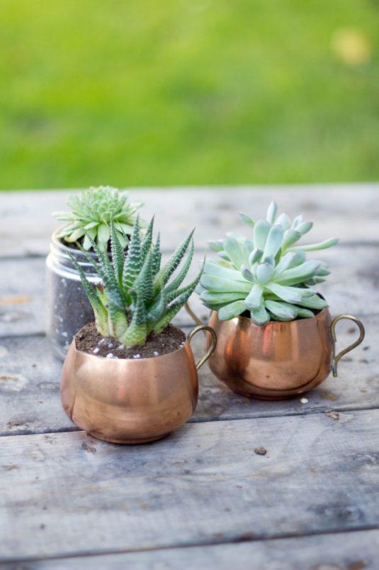 succulent-planters-9