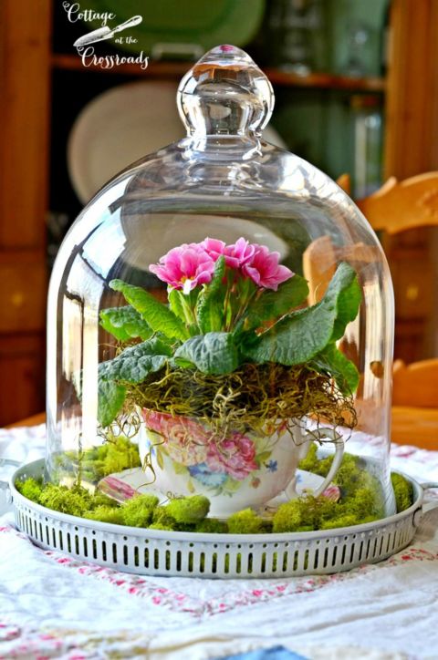 15+ Superb Tiny Teacup Garden Ideas