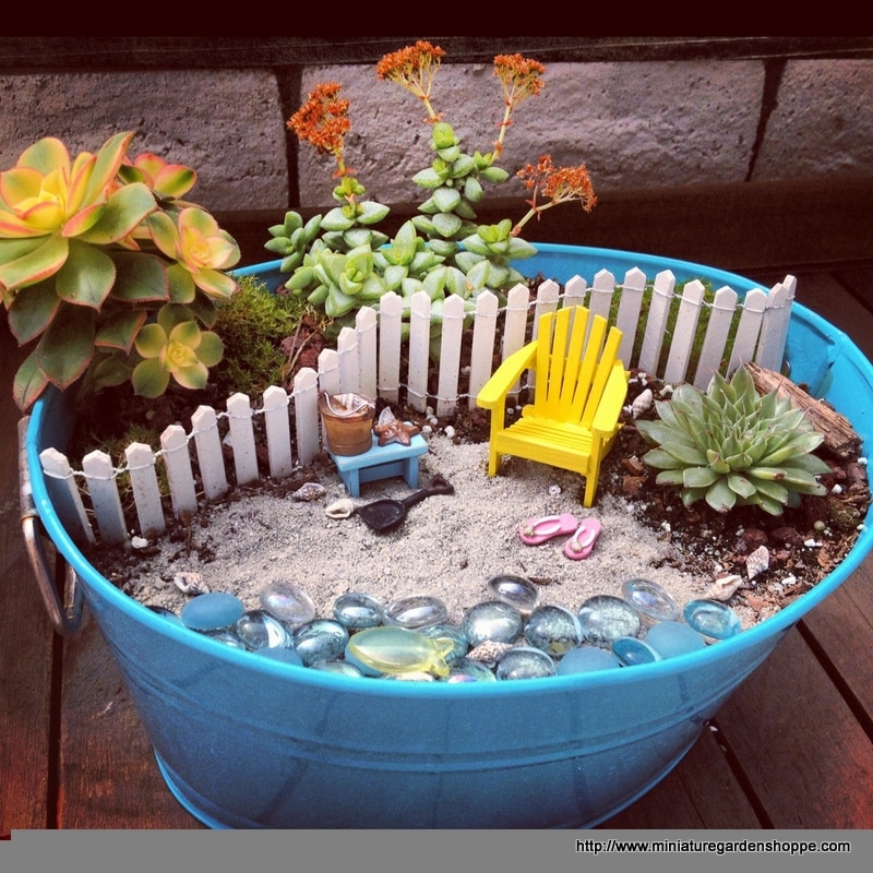 15+ Superb Tiny Teacup Garden Ideas