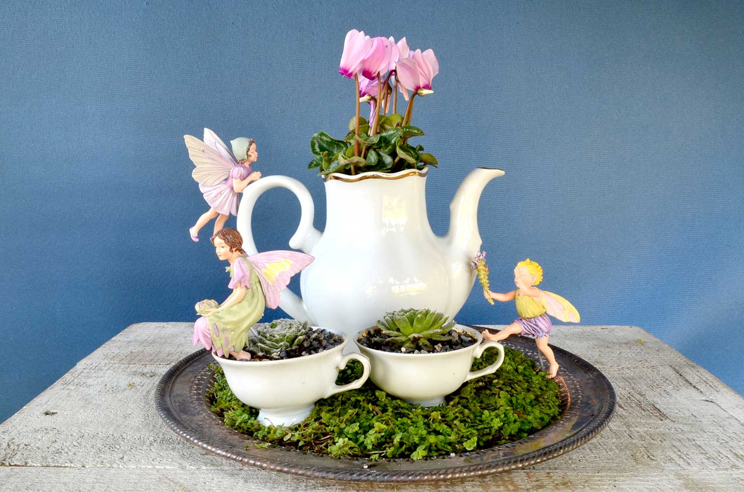 15+ Superb Tiny Teacup Garden Ideas