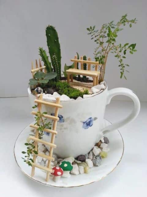 15+ Superb Tiny Teacup Garden Ideas