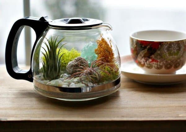 terrarium ideas 10