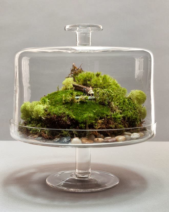 terrarium ideas 11