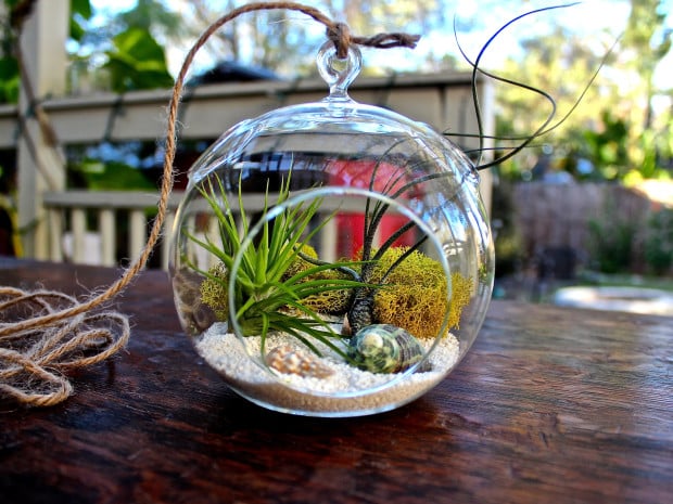 terrarium ideas 14