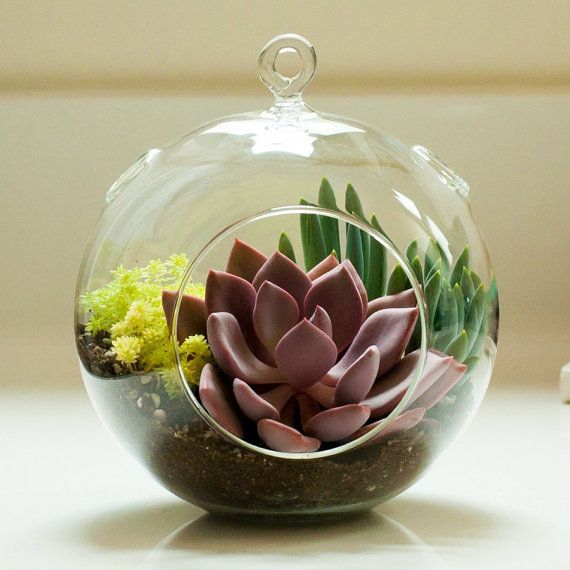 terrarium ideas 15