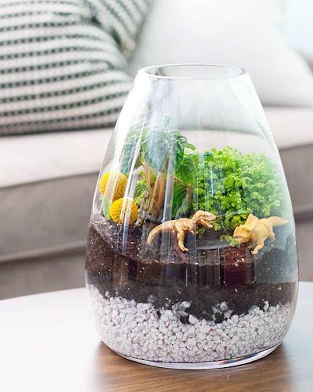 terrarium ideas 16