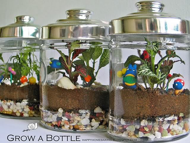 15+ Cool and Creative Terrarium Ideas