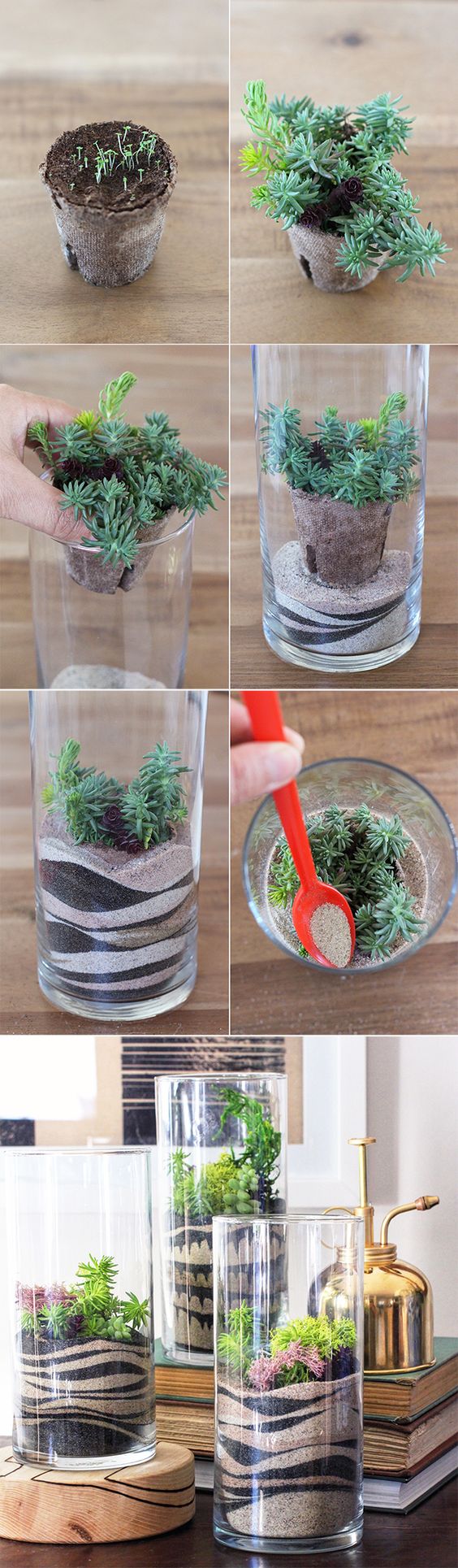 terrarium ideas 3