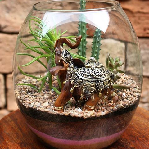 terrarium ideas 4