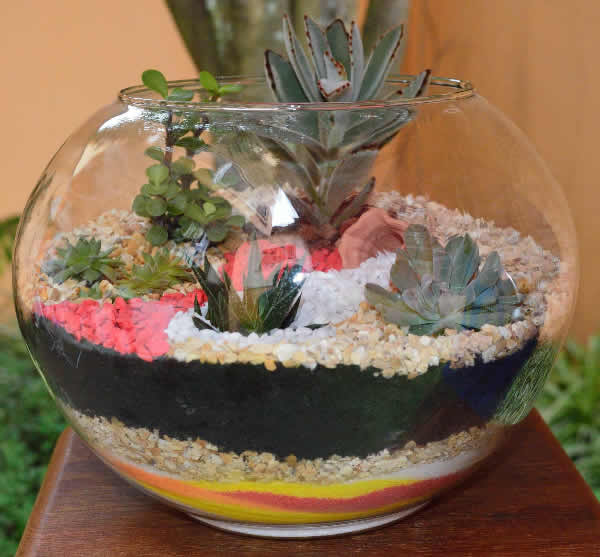 terrarium ideas 5