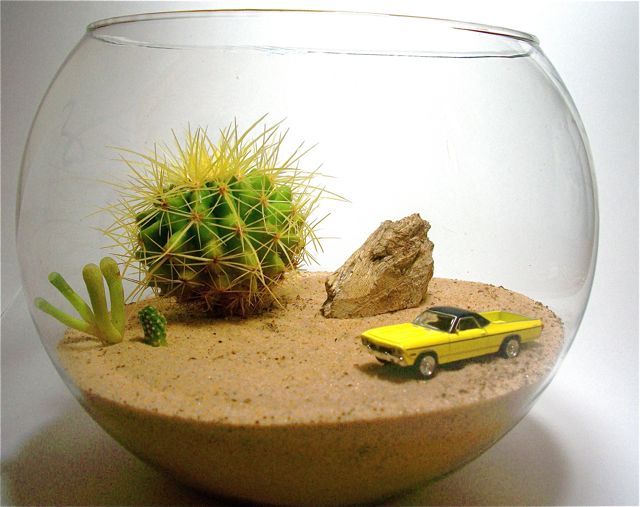 15+ Cool and Creative Terrarium Ideas