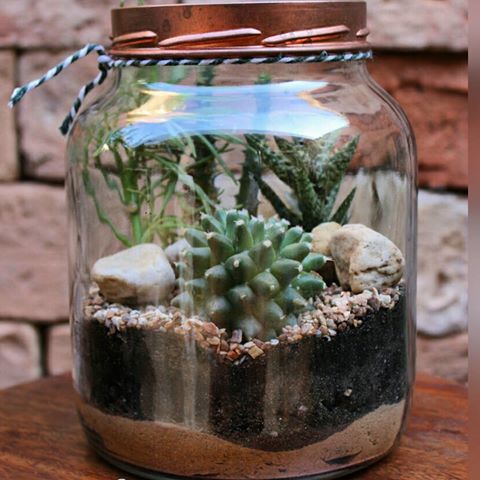 terrarium ideas 7