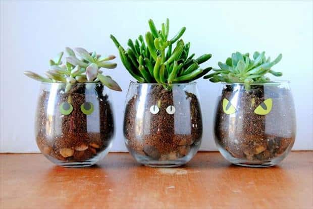 15+ Cool and Creative Terrarium Ideas