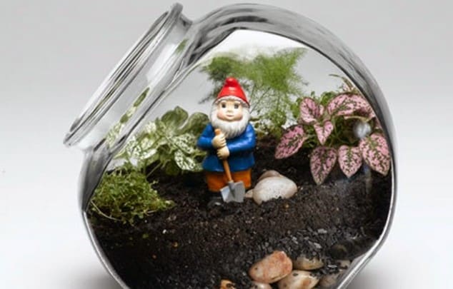 15 Miniature Terrariums Masterpieces