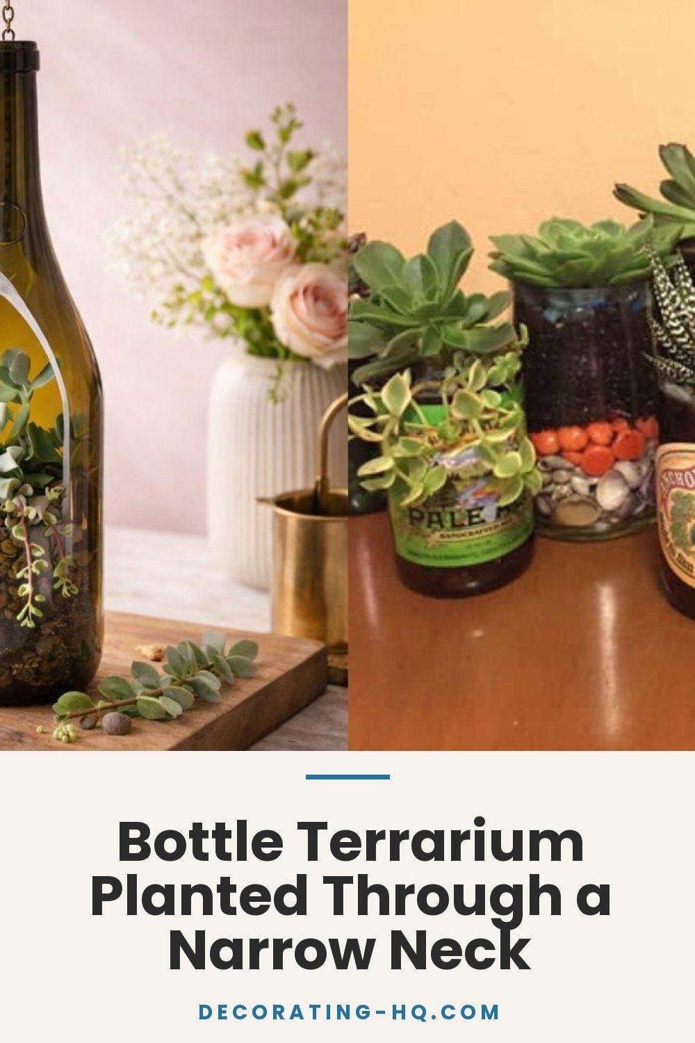 Bottle Terrarium Planted Through a Narrow Neck