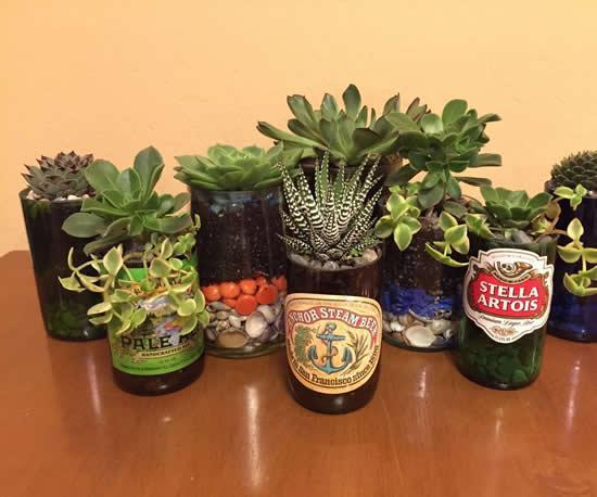 Terrariums with Succulents in Glass Bottles: A Unique DIY Terrariums with Succulents in Glass Bottles: A Unique DIY terrariums with succulents in glass bottles 2