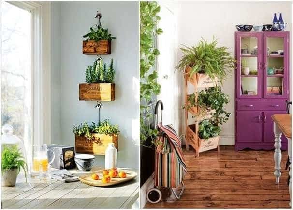 Creative Ideas How To Display Your Indoor Plants