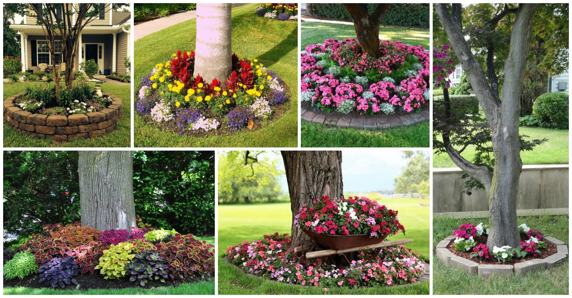 15 Beautiful Ideas For Decorating The Landscape Around The Trees