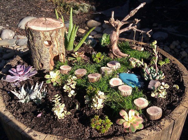 tree stump fairy gardens 14
