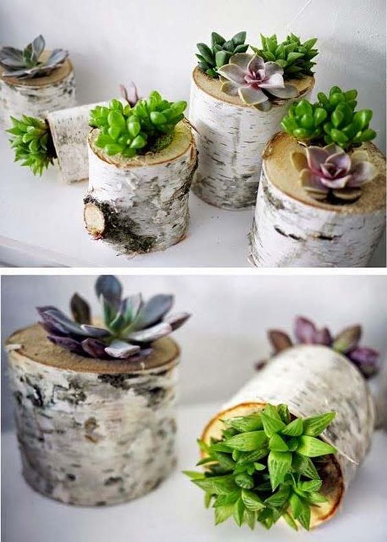 20+ Wonderful Decorative Vases Made From Tree Stump