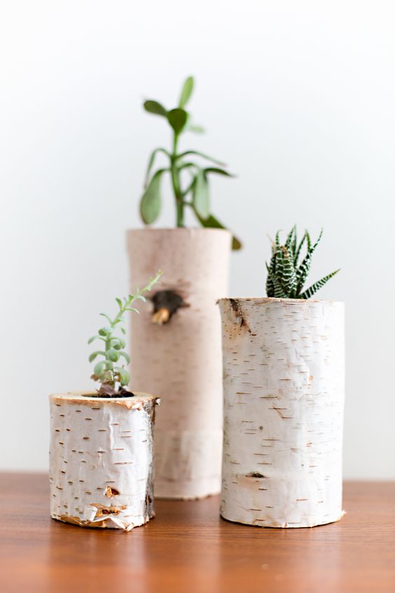 20+ Wonderful Decorative Vases Made From Tree Stump