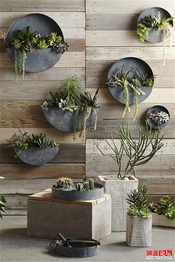 20+ Amazing Vertical Gardens For Your Balcony