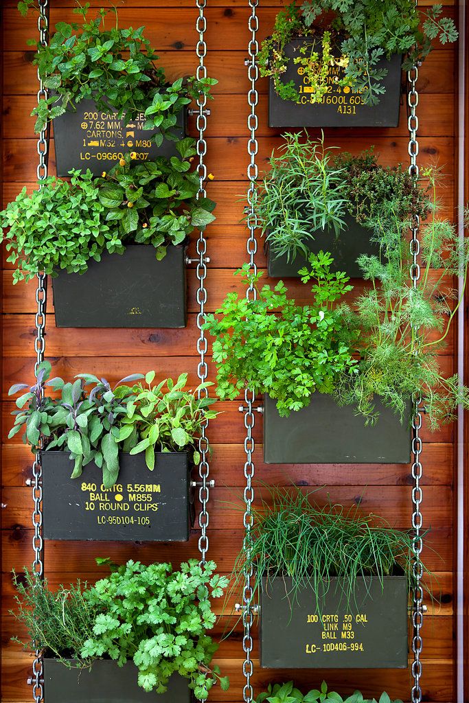 20+ Amazing Vertical Gardens For Your Balcony