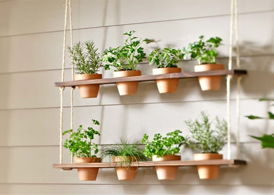 20+ Amazing Vertical Gardens For Your Balcony